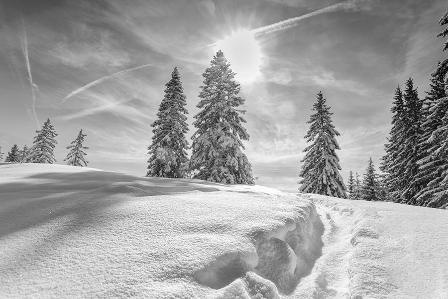 Hotel-Fotografie Balderschwang Schneelandschaft